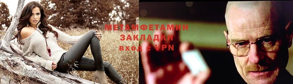 шишки Беломорск