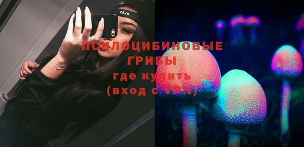 2c-b Богданович