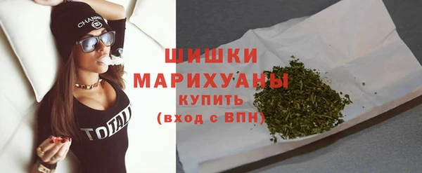 шишки Беломорск