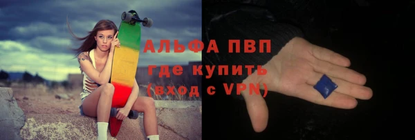 шишки Беломорск