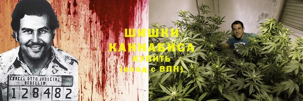 амф Белокуриха