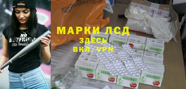 шишки Беломорск