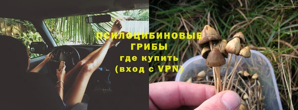 spice Балабаново