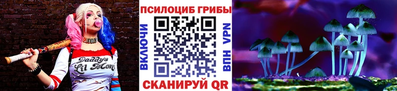 Псилоцибиновые грибы Psilocybine cubensis  Бодайбо 
