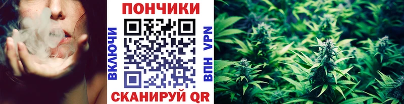 Бошки марихуана OG Kush  Бодайбо 